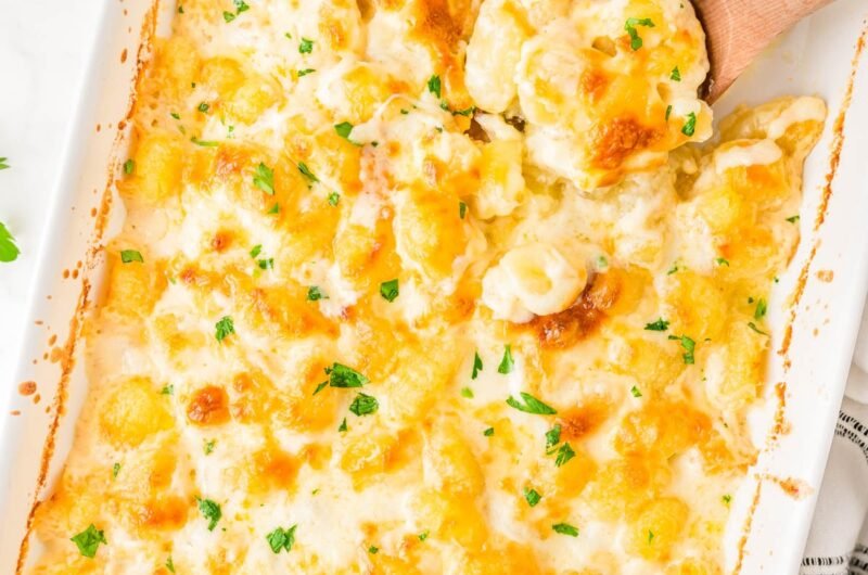 gnocchialfredo 13