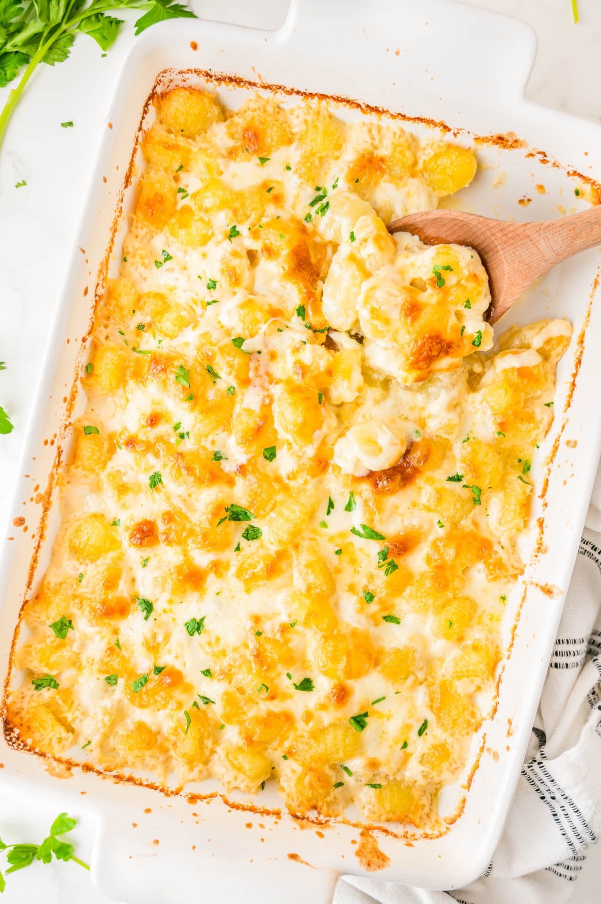 gnocchialfredo 13